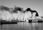 Smog Smog