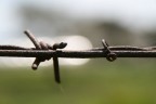 I Colori della Libertà I Colori della Libertà