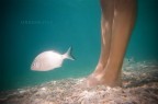 Underwater. Underwater.