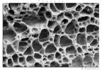 Texture Texture