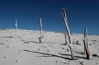 l'altra sardegna l'altra sardegna