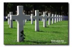 American cimitery American cimitery