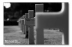 American cimitery 2 American cimitery 2