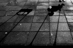 Shadow Game Shadow Game