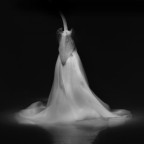 ballerina ballerina