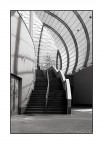 Curve e linee Curve e linee
