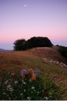 Un passo dall'alba Un passo dall'alba