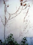 27082010 27082010