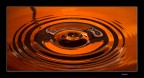 Golden Drop
