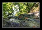 ruscello di montagfna ruscello di montagfna