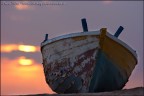Alba d'agosto Alba d'agosto