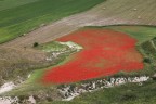 La svirgolata La svirgolata