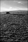 Castelluccio di Norcia, 23-08-10 Castelluccio di Norcia, 23-08-10