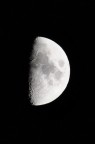 Luna con un bel 300 Luna con un bel 300
