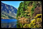 Pesaggio Irlandese Pesaggio Irlandese