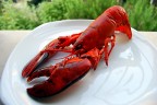 Il pranzo è servito Il pranzo è servito