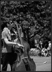 Jazz in the park