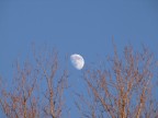Luna al tramonto Luna al tramonto