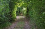 Verde Verde