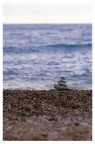 Equilibrio... Equilibrio...