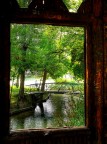 window dream window dream