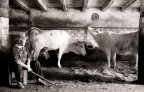 L'Uomo e La Sua Terra L'Uomo e La Sua Terra