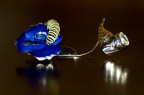 una rosa blu una rosa blu