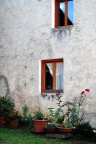 Signora anziana Signora anziana