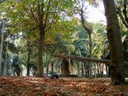 giochi d'autunno giochi d'autunno