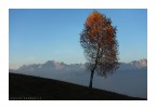 Autunno Autunno