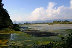 surreale surreale