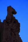 Cavalluccio marino di Strombolicchio Cavalluccio marino di Strombolicchio