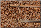 Wood Wood