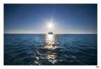 Sea route Sea route