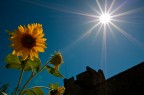 Gira, sole! Gira, sole!