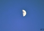 luna luna