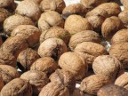Arriva l'autunno! Arriva l'autunno!