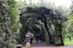 arco in fiore arco in fiore