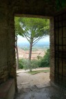 fuori fuori