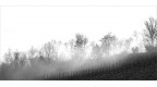 Fog paints sky (HK version) Fog paints sky (HK version)