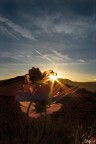 Alba Alba
