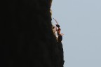 nel sole nel sole