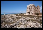 bagnara bagnara