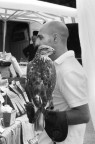 Naso....aquilino!? Naso....aquilino!?