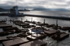Pier 39 Pier 39