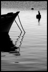 barche e cormorani barche e cormorani