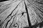 Il legno e il tempo Il legno e il tempo