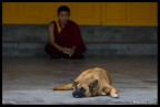 Ladakh4 Ladakh4