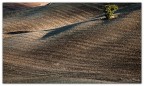 ...terra arata.... ...terra arata....