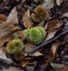 Suggerimenti e critiche sempre ben accetti